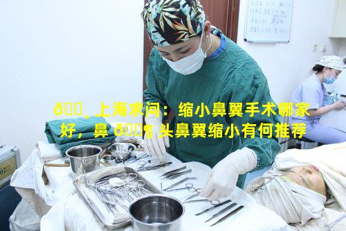 🌸 上海求问：缩小鼻翼手术哪家好，鼻 🐶 头鼻翼缩小有何推荐